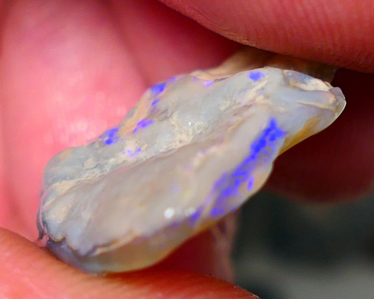 Lightning Ridge Rough Opal 13.00cts Seam Grey base Nice Blue fires in the bar 24x21x5mm NS214