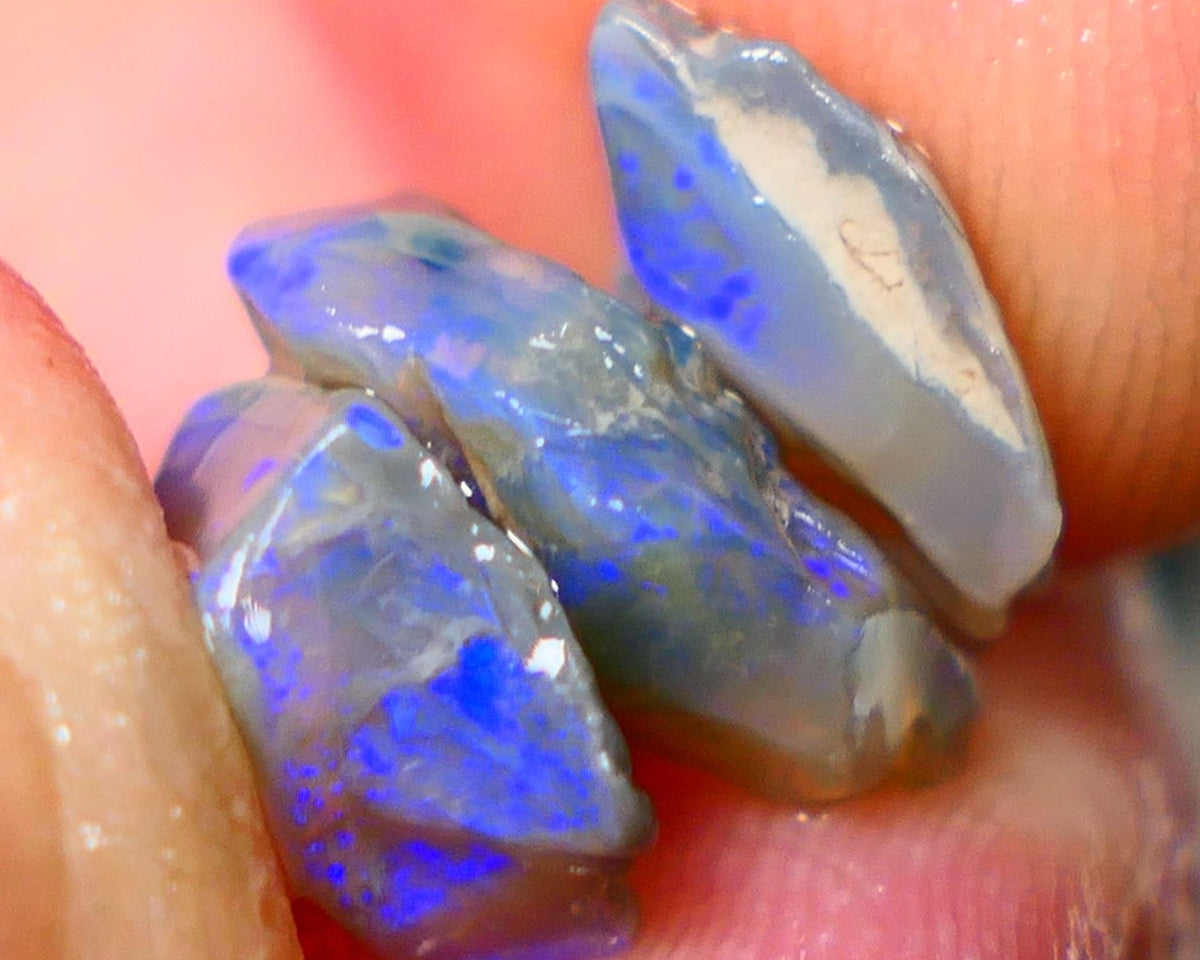 Lightning Ridge Rough Opal 6.25cts Small Seam Stack Dark base Gorgeous Blue fires in the bars 11x8x4mm to 8x6x4mm NS212