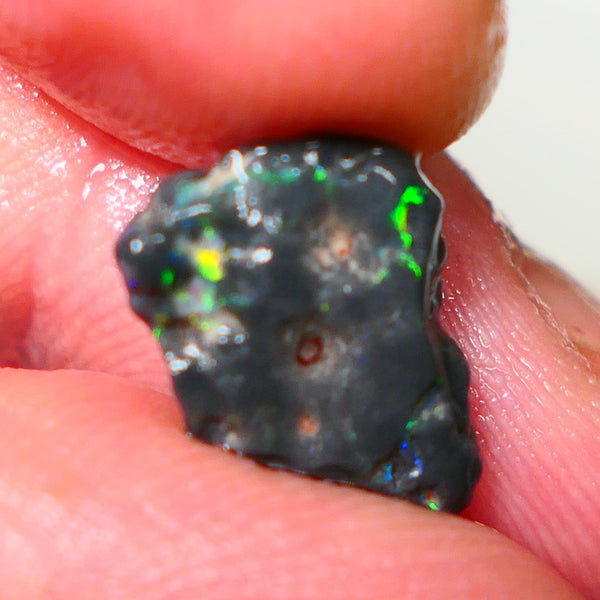 Lightning Ridge Rough Untouched Black Knobby opal 3.00cts Gorgeous Green Dominant M.Fires showing 15x10x4mm RL004