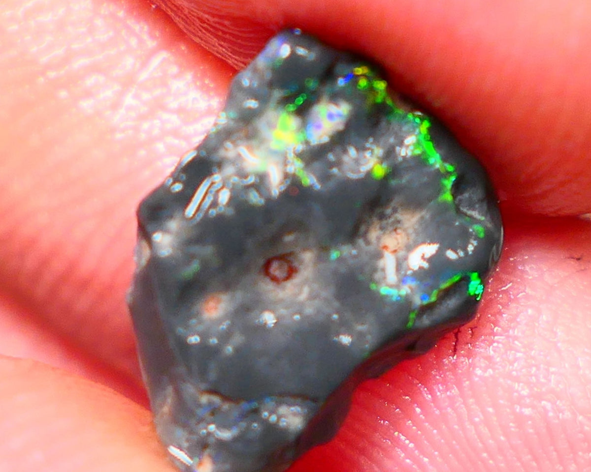 Lightning Ridge Rough Untouched Black Knobby opal 3.00cts Gorgeous Green Dominant M.Fires showing 15x10x4mm RL004