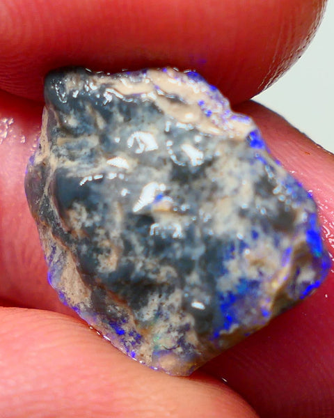 Lightning Ridge Rough Untouched Black/Dark Knobby opal 5.20cts Gorgeous blues showing around the edges sold as gamble 17x14x4mm RL012