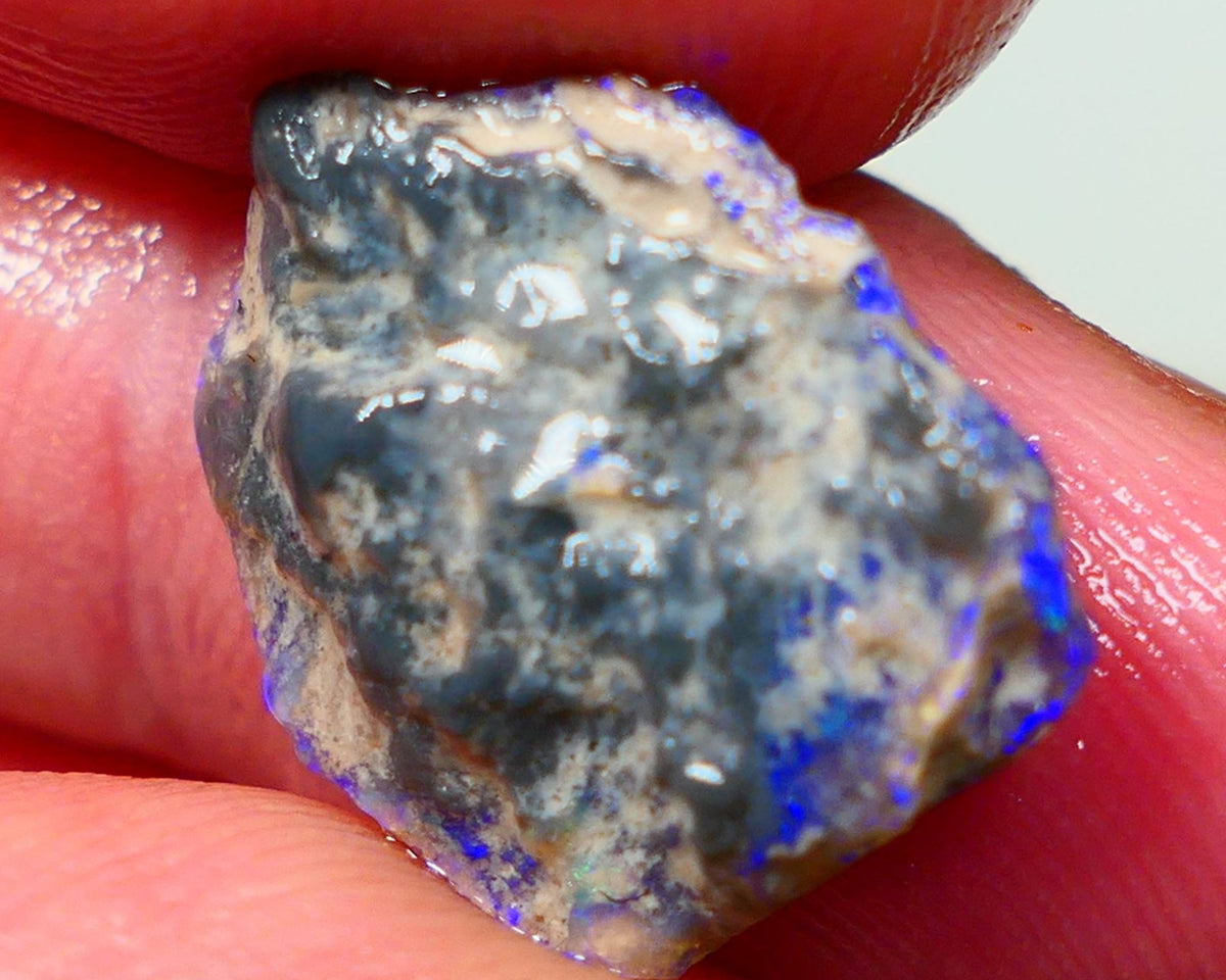 Lightning Ridge Rough Untouched Black/Dark Knobby opal 5.20cts Gorgeous blues showing around the edges sold as gamble 17x14x4mm RL012