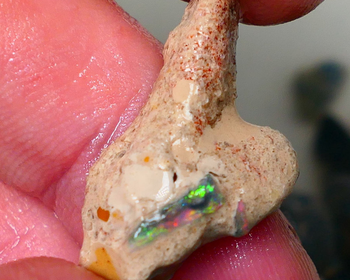 Mulga Rough Opal Seam formation 12.00cts Collectors Gorgeous Yellow dominant Multifires showing on opal deposit 28x15x7mm RL011