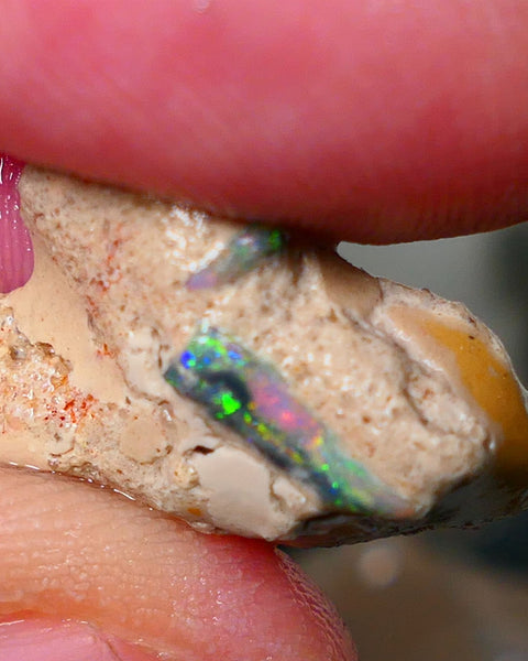 Mulga Rough Opal Seam formation 12.00cts Collectors Gorgeous Yellow dominant Multifires showing on opal deposit 28x15x7mm RL011