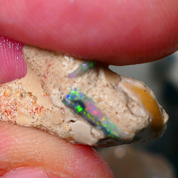 Mulga Rough Opal Seam formation 12.00cts Collectors Gorgeous Yellow dominant Multifires showing on opal deposit 28x15x7mm RL011