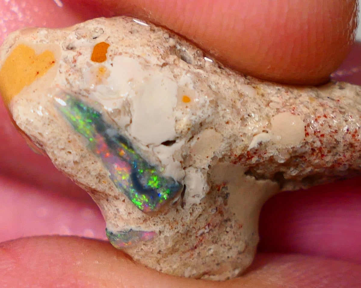 Mulga Rough Opal Seam formation 12.00cts Collectors Gorgeous Yellow dominant Multifires showing on opal deposit 28x15x7mm RL011