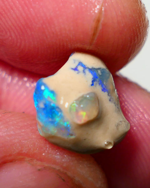 Lightning Ridge Rough / Rub knobby opal Miners Bench® 4.25cts Stunning Bright Fires to exposed face 13x11x7mm NS301