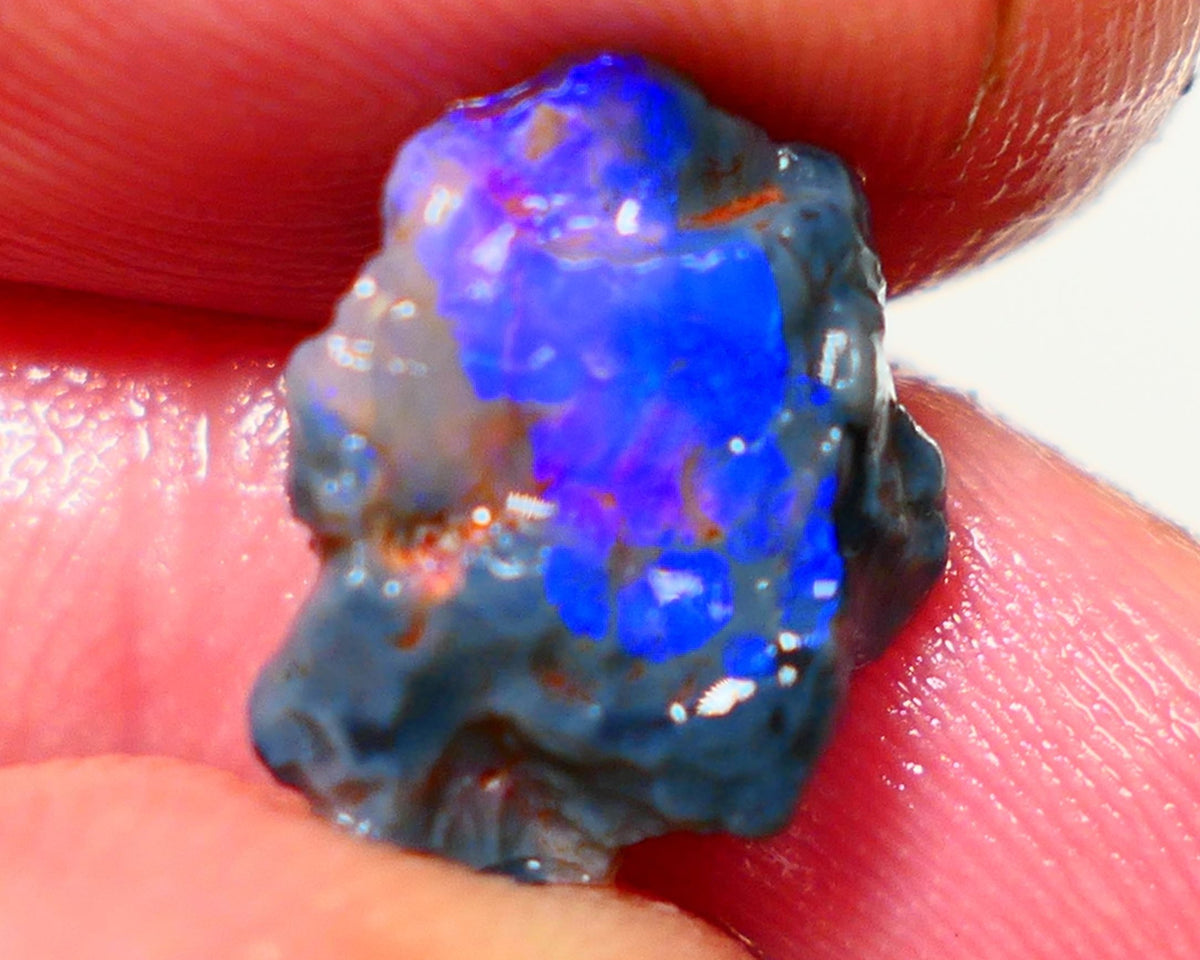 Lightning Ridge Rough Opal 3.50cts Black Crystal Base Knobby formation Gorgeous Royal Blues 14x9x6mm NS308