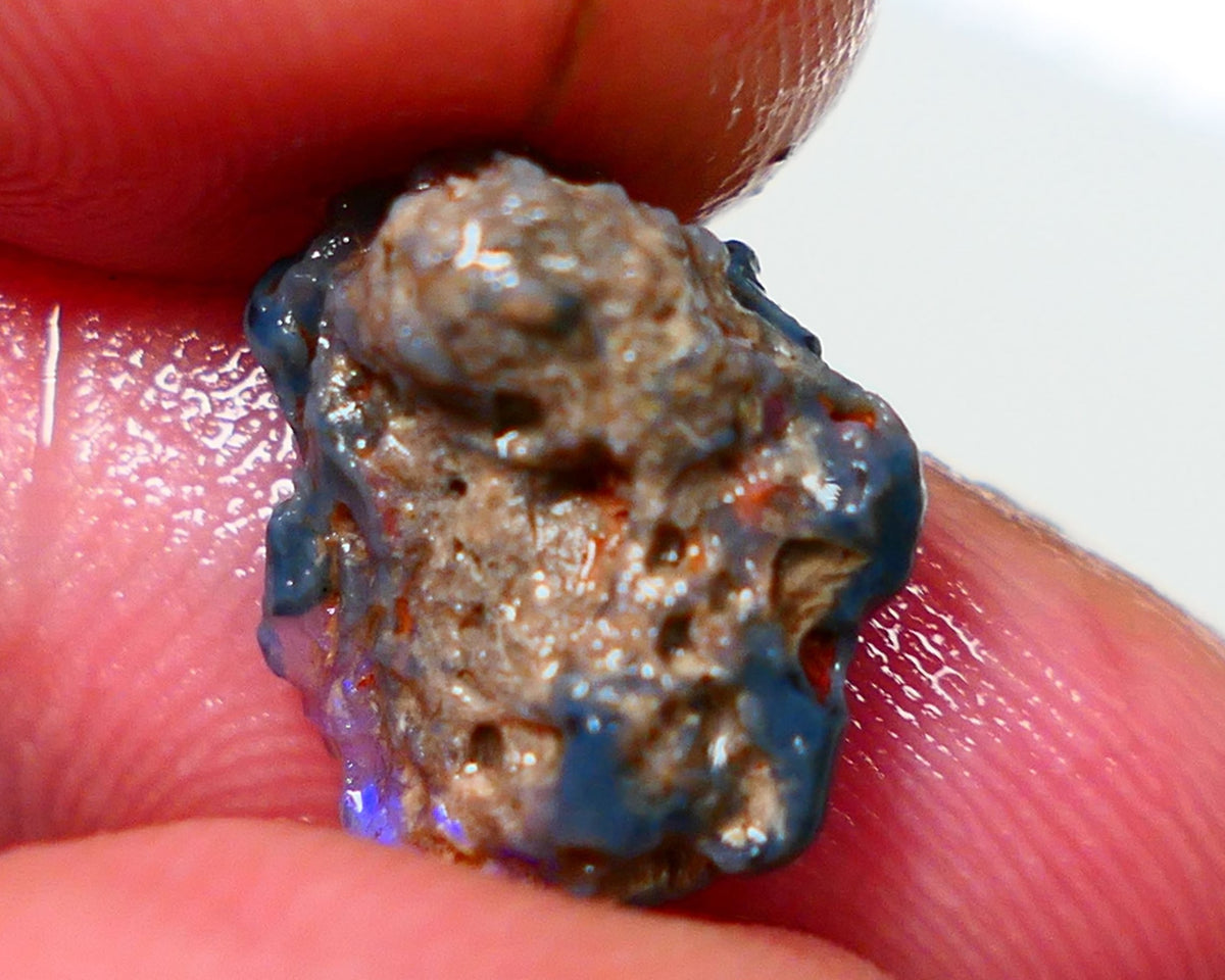 Lightning Ridge Rough Opal 3.50cts Black Crystal Base Knobby formation Gorgeous Royal Blues 14x9x6mm NS308