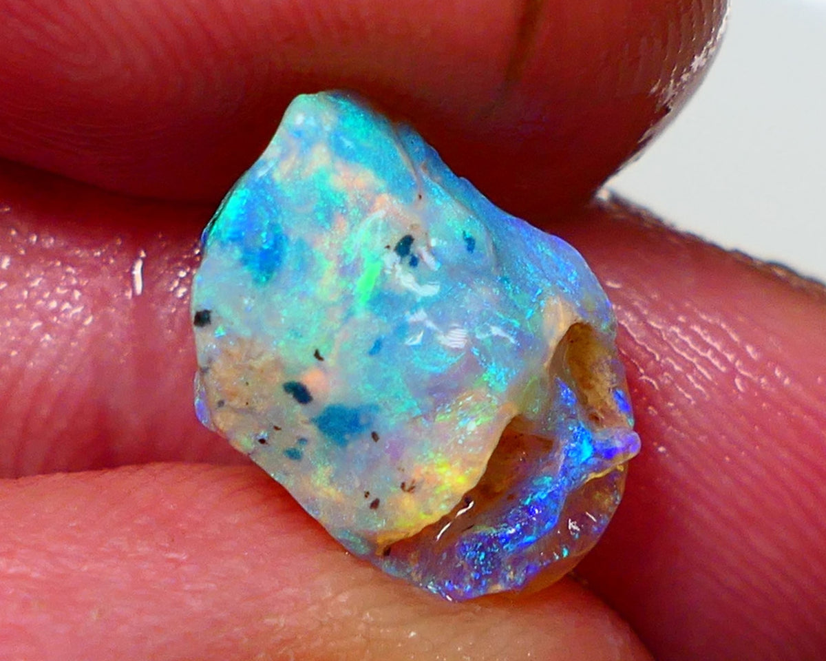 Lightning Ridge Rough Opal 4.25cts Crystal Base Opalised Fossil Gorgeous Bright Multifires 14x9x7mm NS310