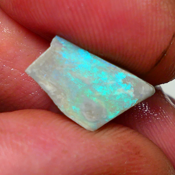 Lightning Ridge Rough / Rub Dark opal Miners Bench® 2.75cts Gorgeous Bright Light Blues & Greens 14x8x3mm NS328