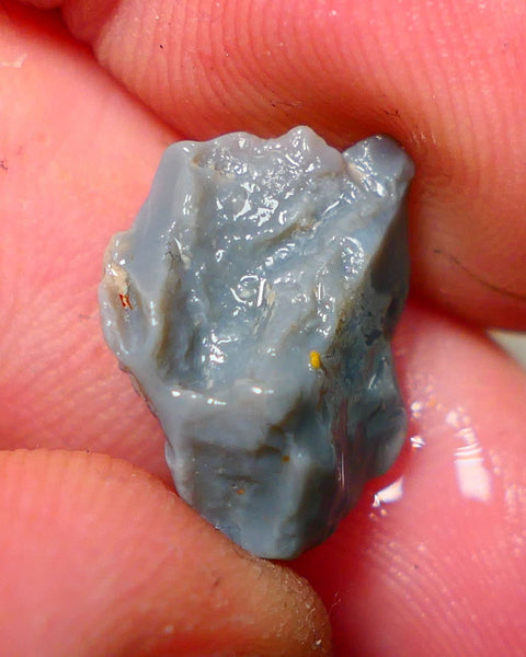 Lightning Ridge Rough Opal 5.25cts Dark Base Knobby Bright Blue Bar to gamble 16x13x7mm NS323