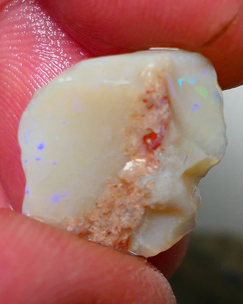 Lightning Ridge Opal Light / Grey Base Seam Rough Rub 8.70cts Bits of Multi colour Confetti pattern 17x16x6mm NS319