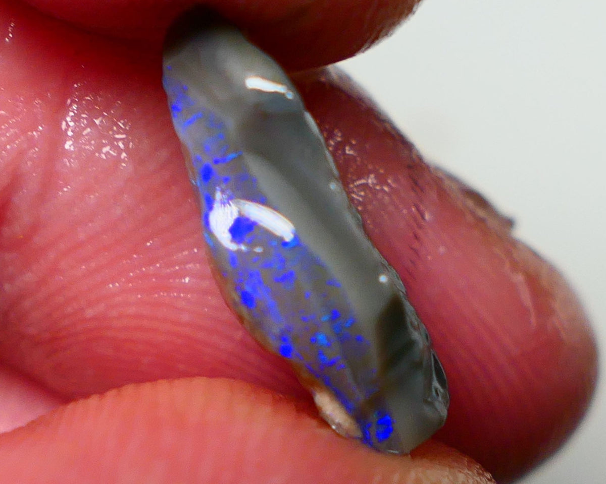 Lightning Ridge Rough Opal 4.00cts Dark Base Seam Bright Vibrant Gorgeous Green / Teal / Blue Bar to Cut 16x9x5mm NS318