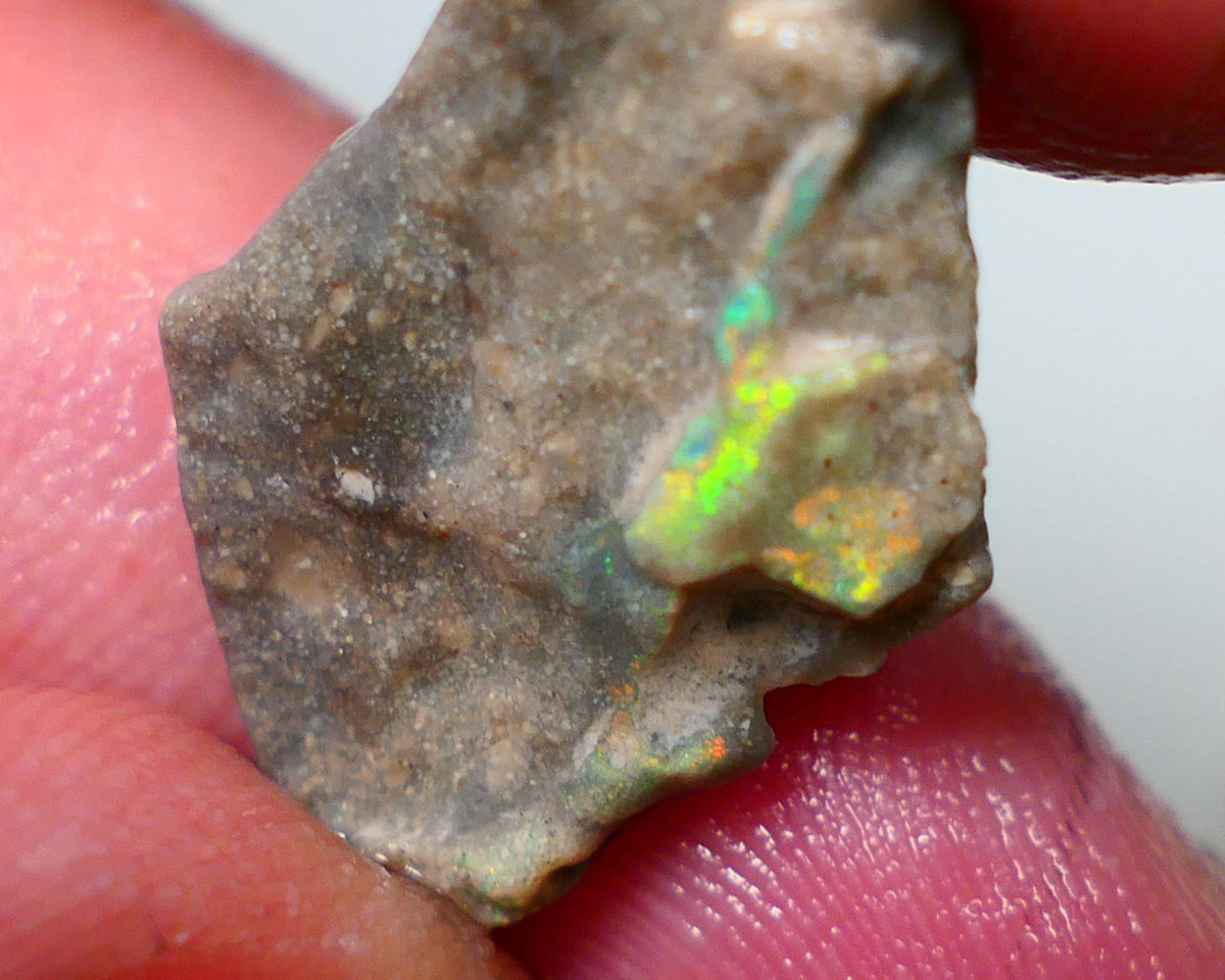 Lightning Ridge Rough Opal 8.25cts Dark Base Seam Gorgeous Zone of Bright Yellows to gamble 24x13x4mm NS317