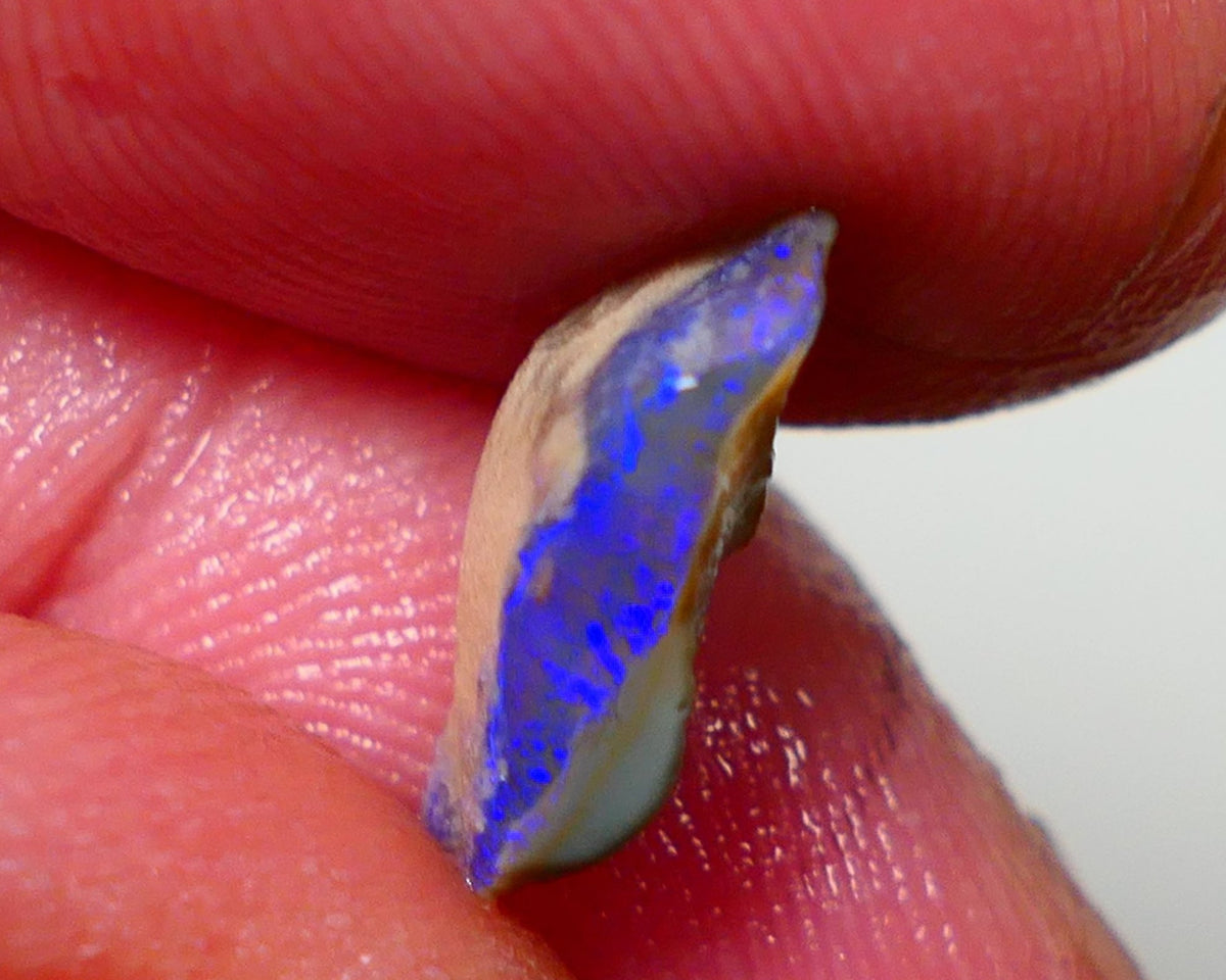 Lightning Ridge Rough Opal 2.35cts Dark Base Seam Bright Gorgeous Blue Bar to Cut 14x6x4mm NS316