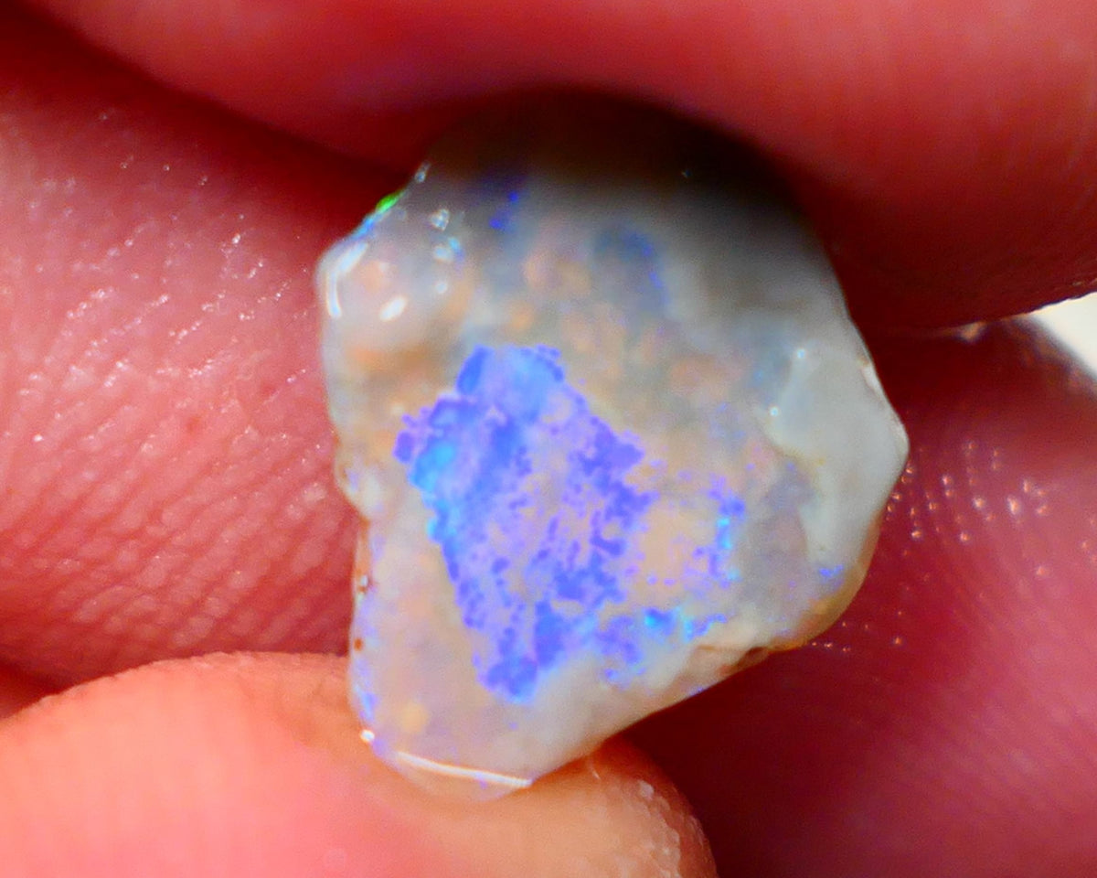 Lightning Ridge Rough Rub Directional Opal 2.30cts Dark Base Seam Blue Fires exposed to face 12x11x3mm NS314