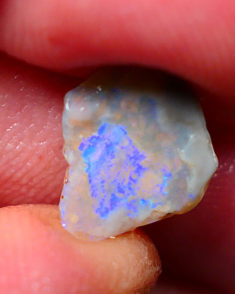 Lightning Ridge Rough Rub Directional Opal 2.30cts Dark Base Seam Blue Fires exposed to face 12x11x3mm NS314