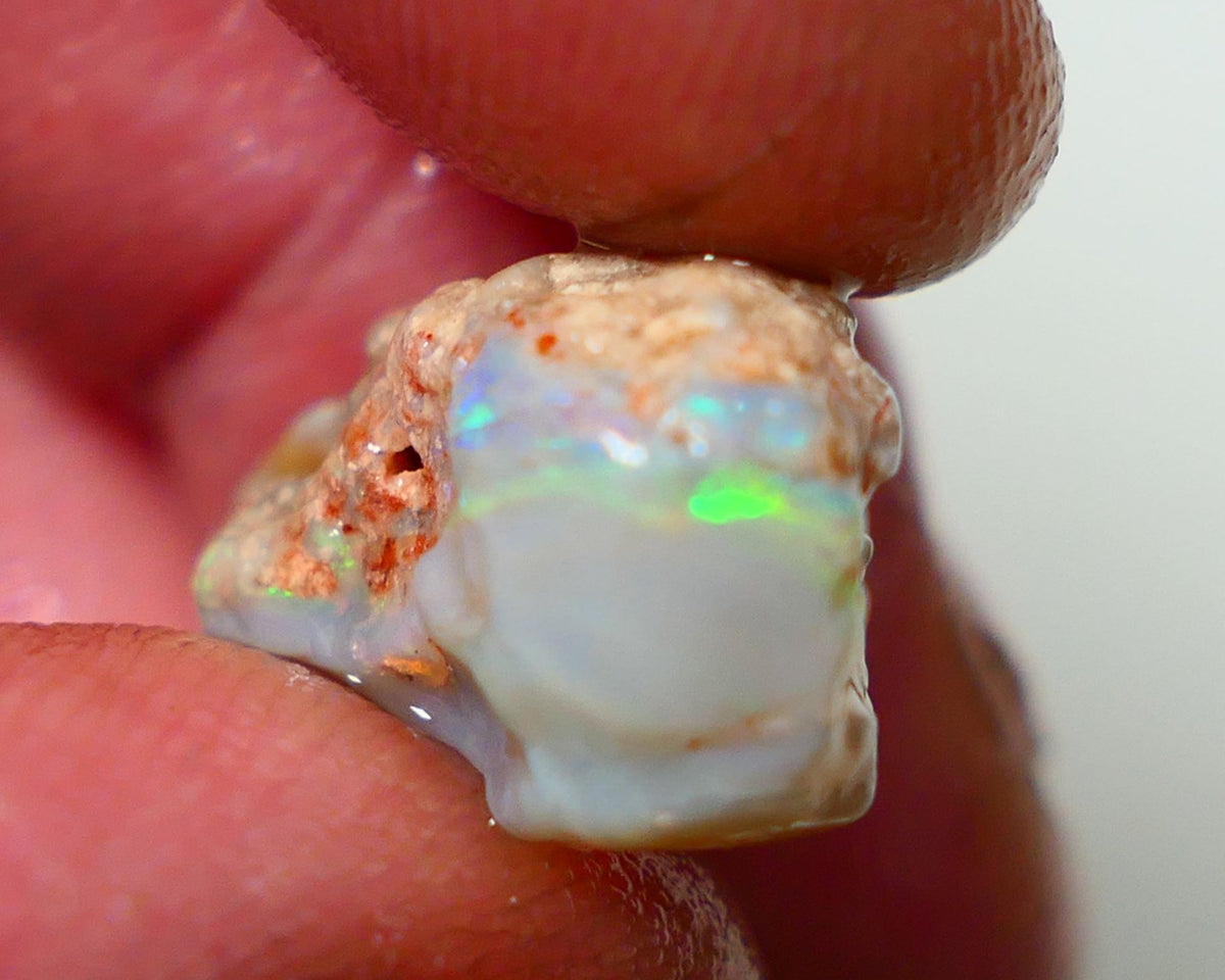 Lightning Ridge Rough Opal 10.00cts Grey base Seam showing Yellow/Green Dominant M.colours to gamble cut 20x11x10mm NS338