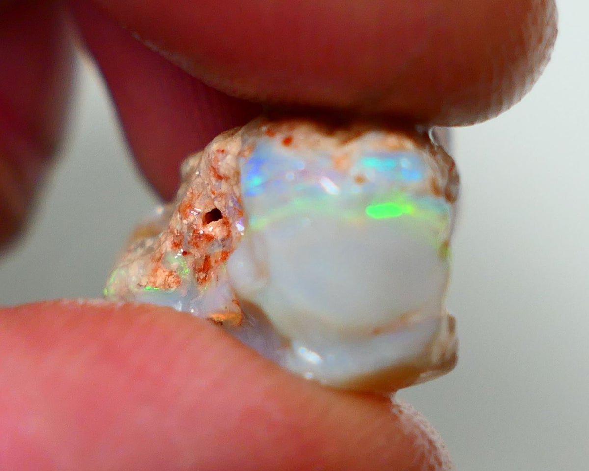 Lightning Ridge Rough Opal 10.00cts Grey base Seam showing Yellow/Green Dominant M.colours to gamble cut 20x11x10mm NS338