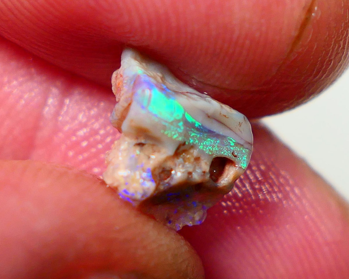 Lightning Ridge Rough Opal 1.75cts Dark Base Seam Bright Vibrant Gorgeous Green / Teal / Blue Bar 11x9x6mm NS336