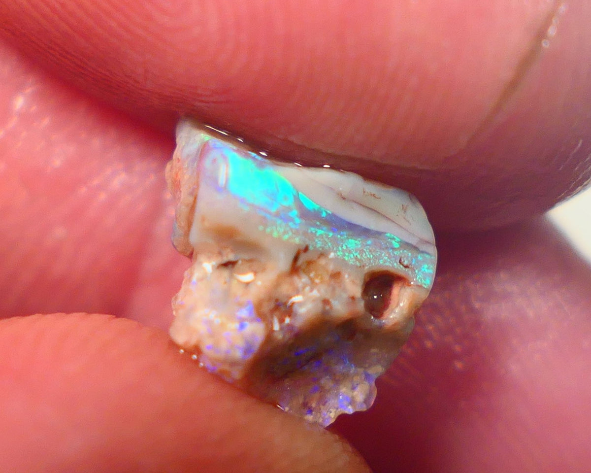 Lightning Ridge Rough Opal 1.75cts Dark Base Seam Bright Vibrant Gorgeous Green / Teal / Blue Bar 11x9x6mm NS336