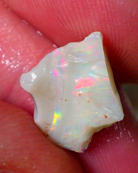 Lightning Ridge Rough Opal 5.25cts Light base Seam showing Bright Gorgeous M.colours 12x12x9mm NS333