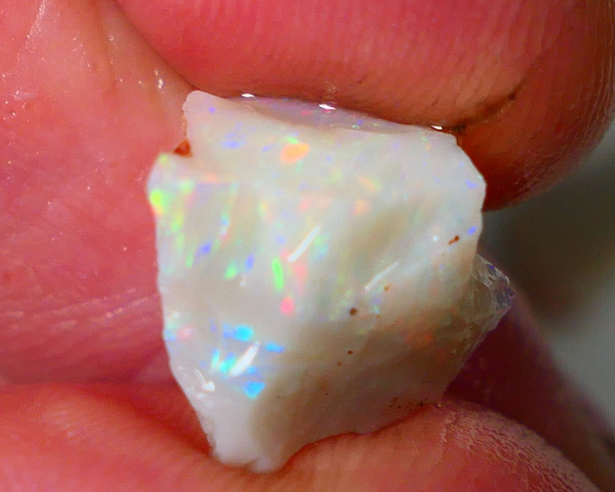 Lightning Ridge Rough Opal 5.25cts Light base Seam showing Bright Gorgeous M.colours 12x12x9mm NS333