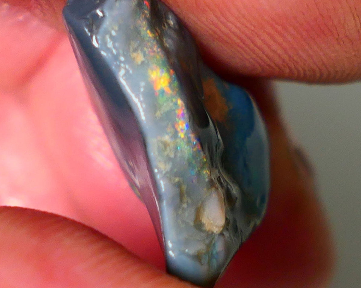 Mulga Rough Opal Gamble 12cts Dark Base Seam Blue Orange Dominant fires to gamble 20x6x9mm NS344