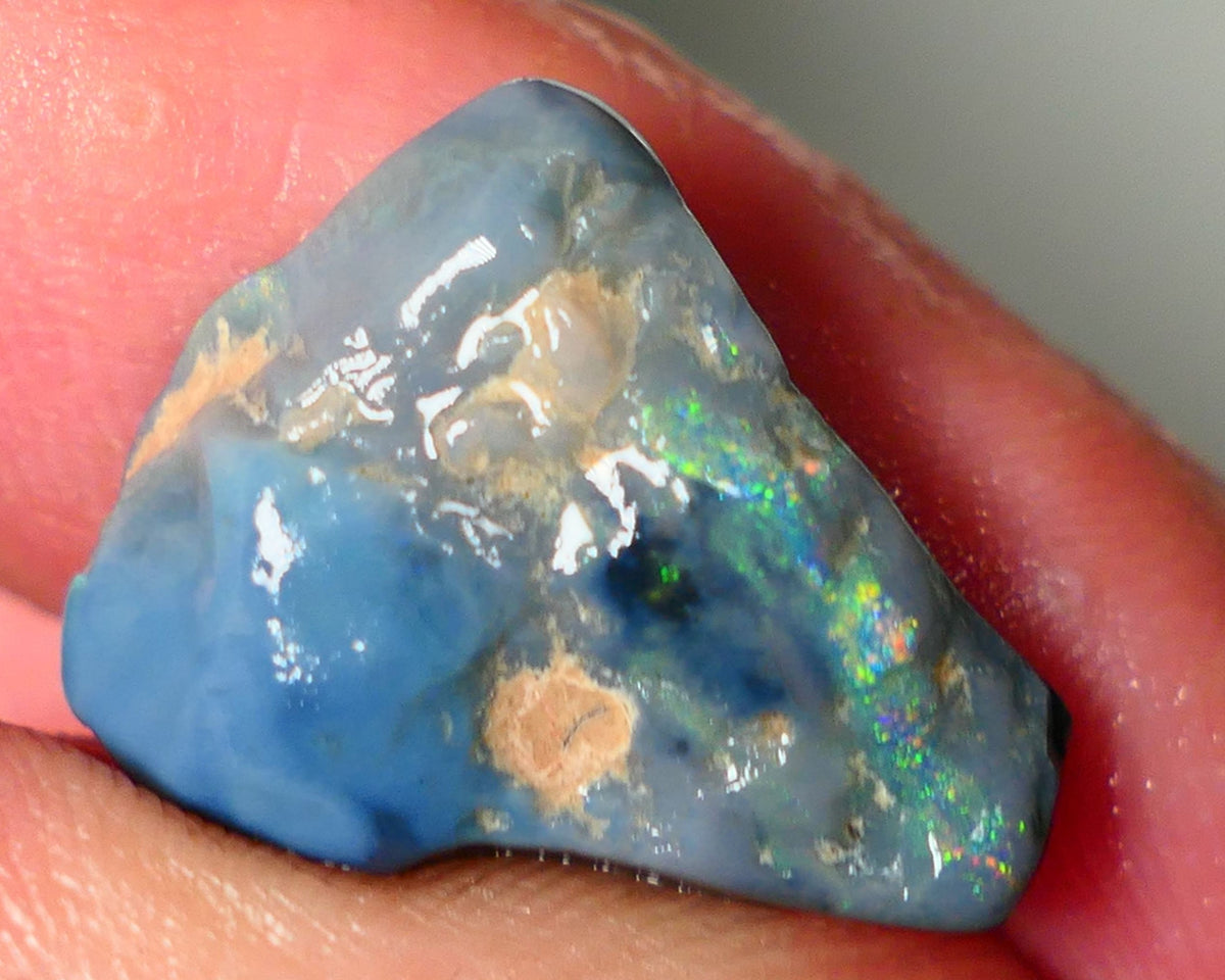 Mulga Rough Opal Gamble 12cts Dark Base Seam Blue Orange Dominant fires to gamble 20x6x9mm NS344