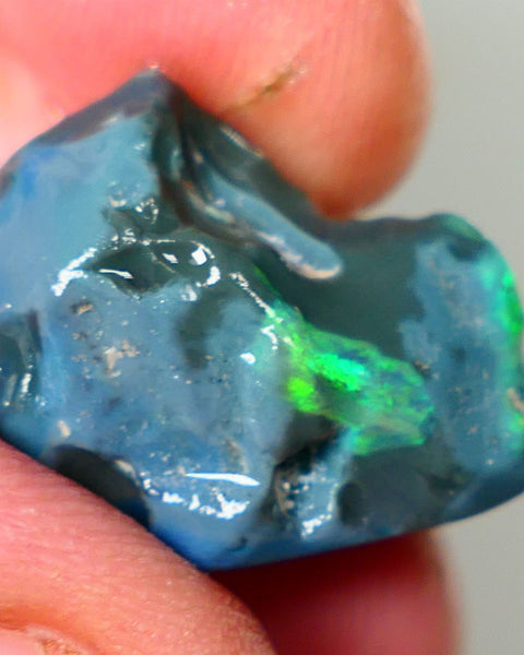 Mulga Rough Opal Gamble 15cts Dark Base Seam Green Blue Yellow fires to gamble 23x16x10mm NS342