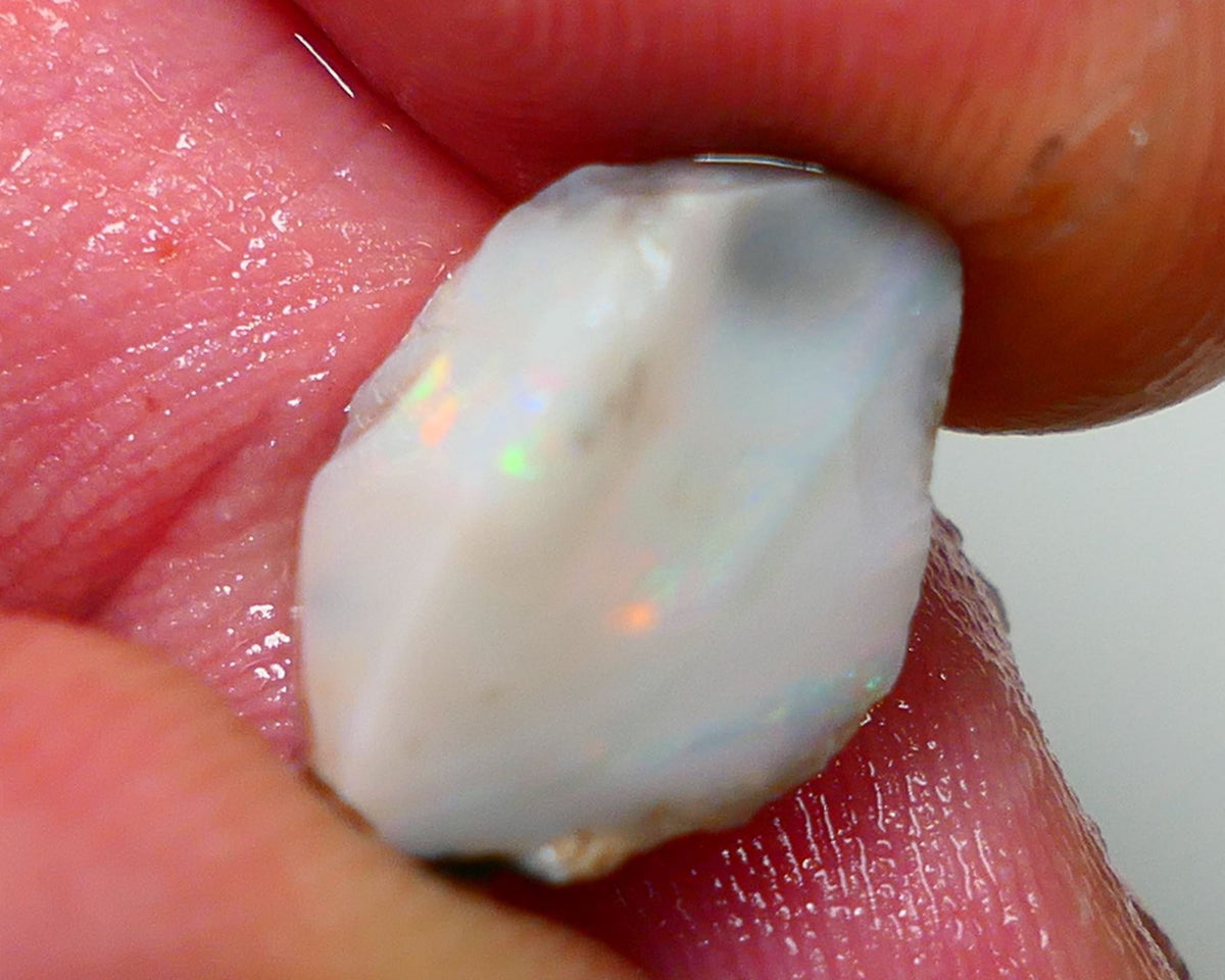 Lightning Ridge Rough Opal Gamble Auction15 16x8x8mm 5.50cts