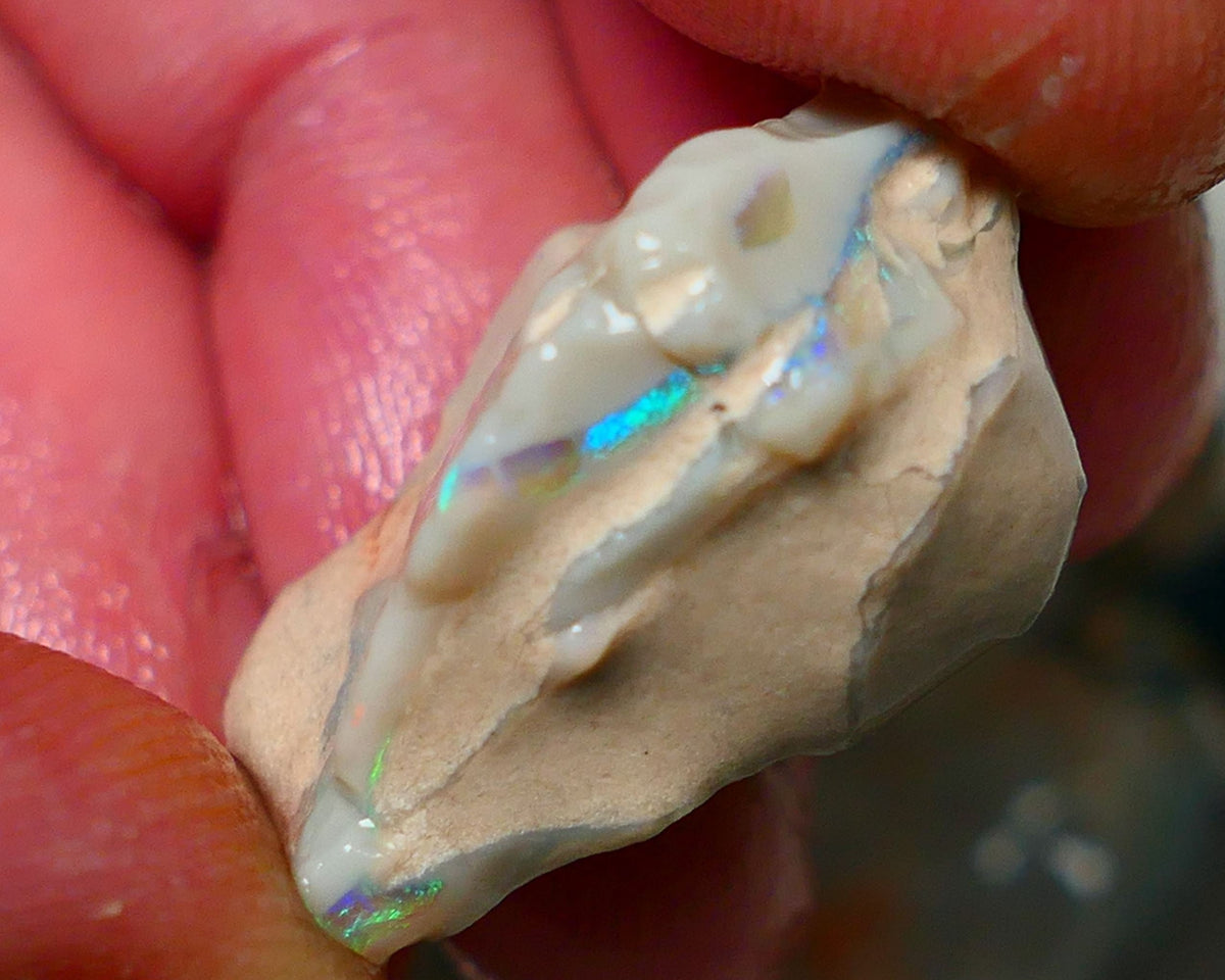 Lightning Ridge Rough Opal Gamble Auction 3   23.00cts 25x20x13mm