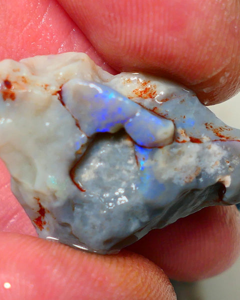 Lightning Ridge Rough Opal Gamble Auction 2  26.00cts 30x19x9mm