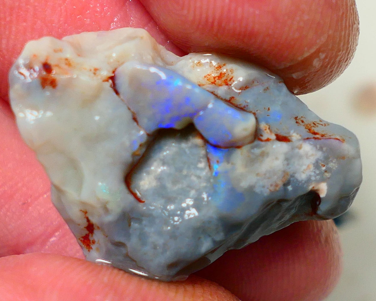 Lightning Ridge Rough Opal Gamble Auction 2  26.00cts 30x19x9mm