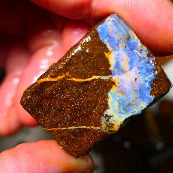 Queensland Boulder / Matrix opal 105cts rough Winton Bright Blue fires show plenty to go at here 32x25x14mm ALP002