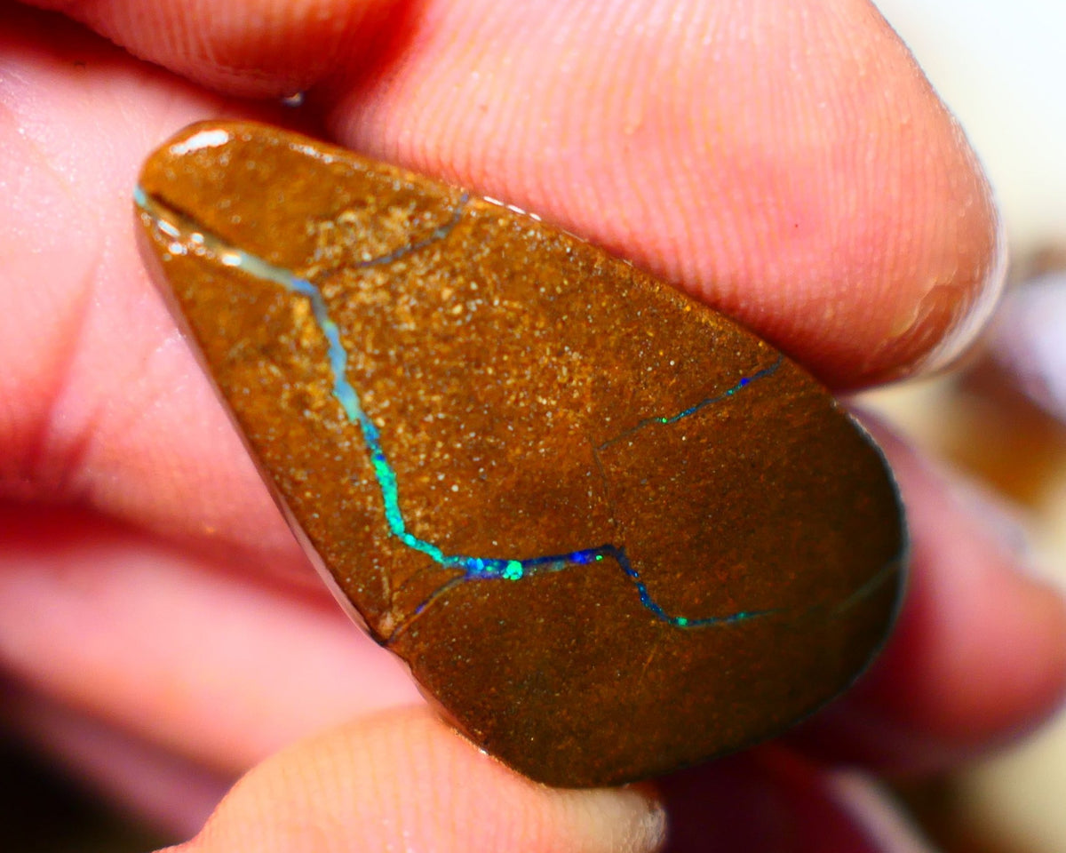 Queensland Boulder / Matrix opal 35cts Big rough/rub Winton Bright Green & Blue fires showing 34x18x7mm ALP005