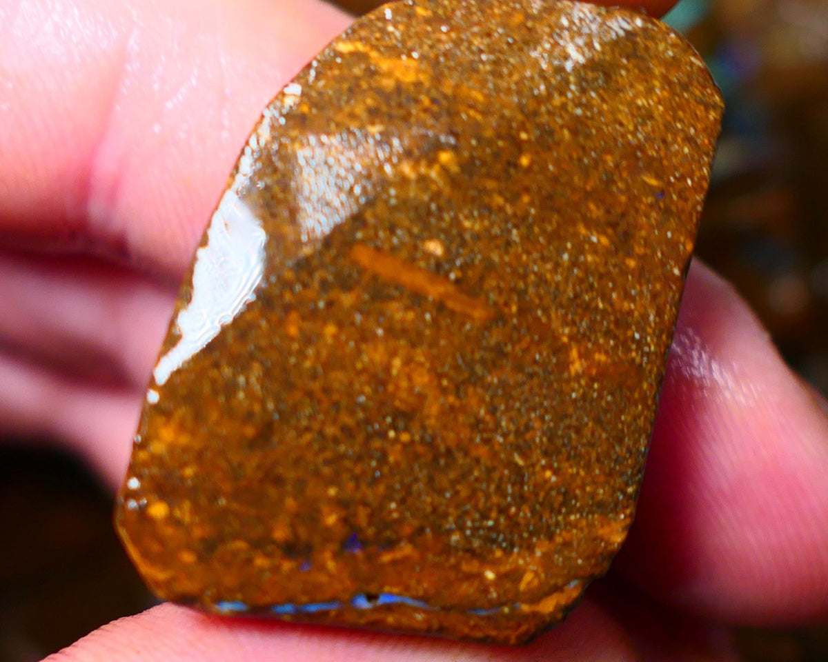 Queensland Boulder opal cts rough/slice/rub Winton Nice Blue fires showing on the opal face ALP0