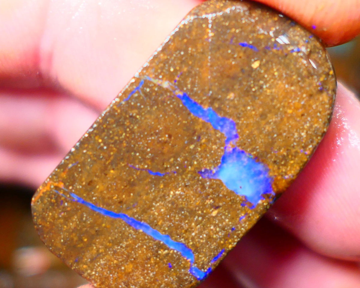 Queensland Boulder / Matrix opal 55cts rough/rub Winton Lots Bright Blue fires showing in a vein 34x19x7mm ALP014