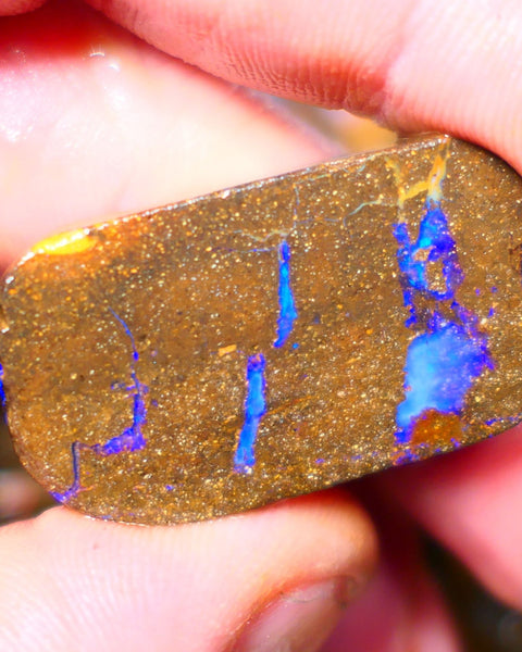 Queensland Boulder / Matrix opal 55cts rough/rub Winton Lots Bright Blue fires showing in a vein 34x19x7mm ALP014