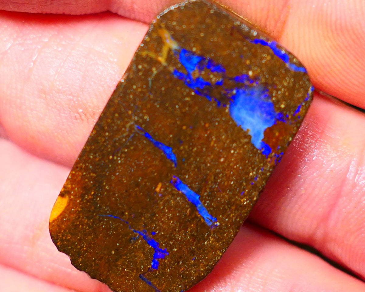 Queensland Boulder / Matrix opal 55cts rough/rub Winton Lots Bright Blue fires showing in a vein 34x19x7mm ALP014