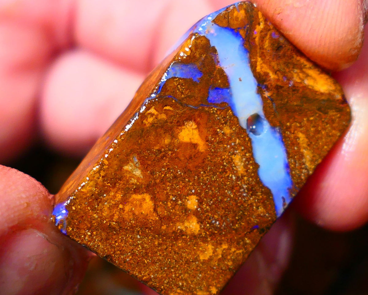 Queensland Boulder / Matrix opal 50cts rough/rub Winton Bright Blue fires showing in a vein 31x20x7mm ALP011