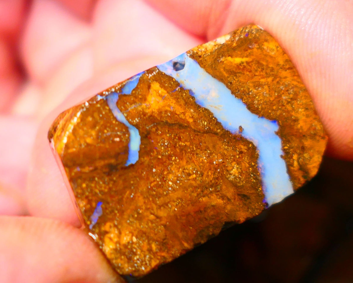 Queensland Boulder / Matrix opal 50cts rough/rub Winton Bright Blue fires showing in a vein 31x20x7mm ALP011