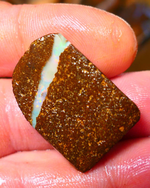 Queensland Boulder / Matrix opal 35cts rough/rub Winton Flashes of Orange fires showing in a vein ALP013