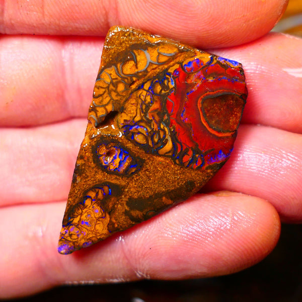 Queensland Boulder / Matrix opal 65cts Big rough/rub Yowah Gorgeous Bright Blue fires show plenty to go at here 38X23X9MM ALP007