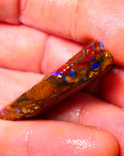 Queensland Boulder / Matrix opal 65cts Big rough/rub Yowah Gorgeous Bright Blue fires show plenty to go at here 38X23X9MM ALP007