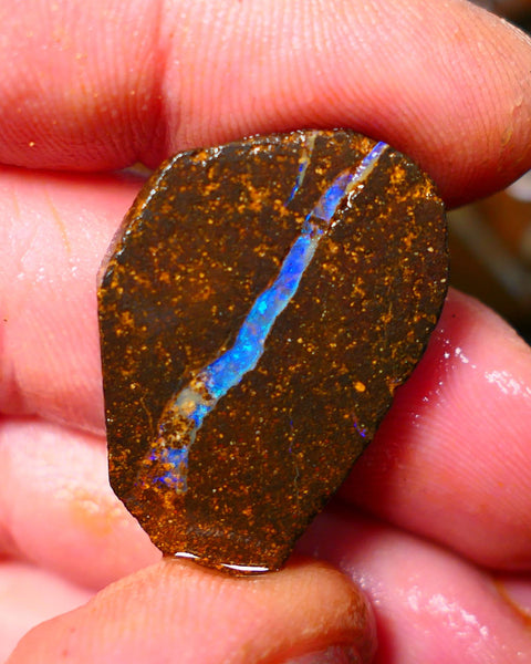 Queensland Boulder / Matrix opal 35cts rough/rub Winton Bright Green & Blue fires showing in a vein 29x20x5mm ALP012