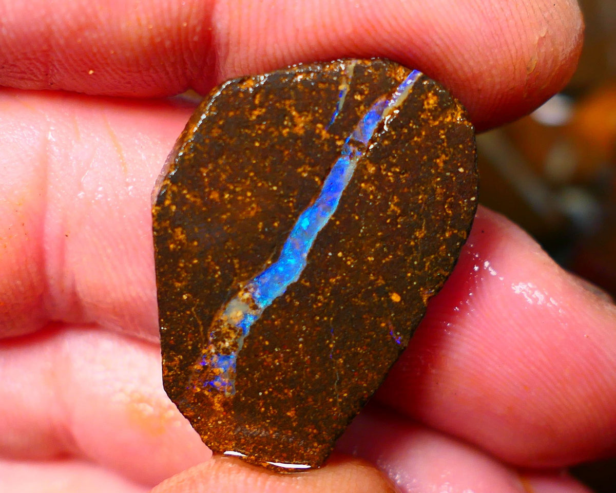 Queensland Boulder / Matrix opal 35cts rough/rub Winton Bright Green & Blue fires showing in a vein 29x20x5mm ALP012