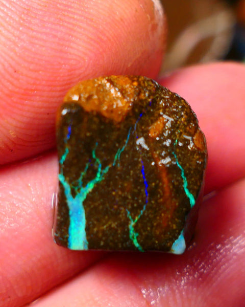 Queensland Boulder / Matrix opal 25cts rough Winton Bright Green Blue fires showing to cut 16x15x11mm ALP008