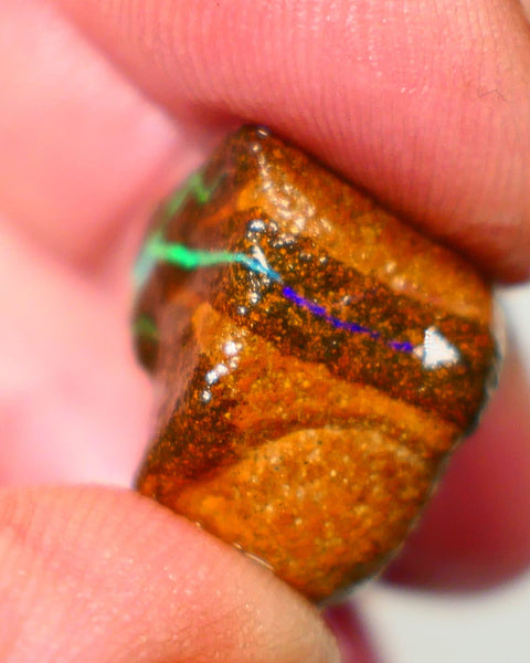 Queensland Boulder / Matrix opal cts rough Winton Bright Green/Blue fires in the veins to cut ALP0